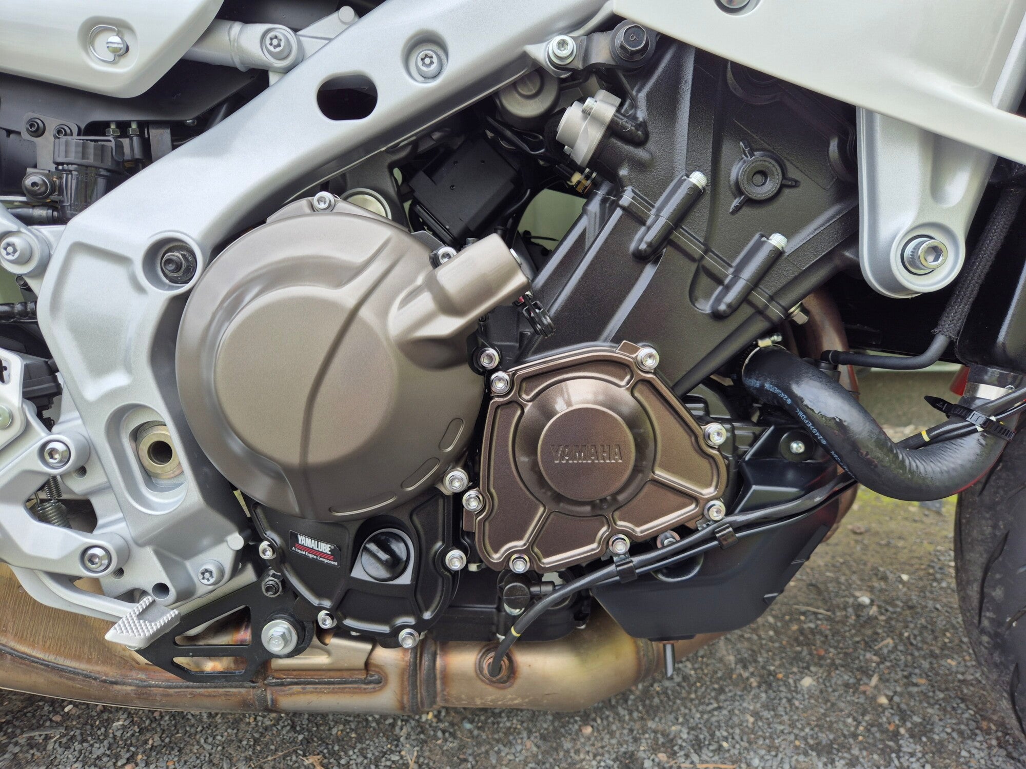 Yamaha XSR900 GP - 2025