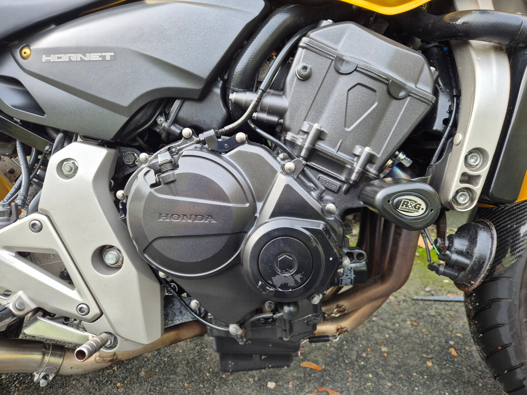 Honda CB 600 F Hornet