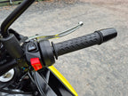 Aprilia Tuono 660 - 2022