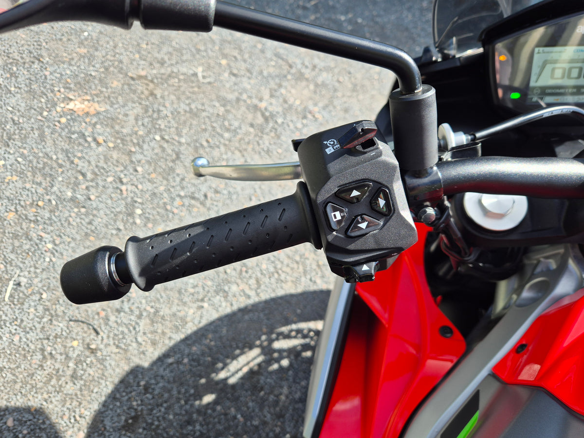 Aprilia Tuono 660 - 2021