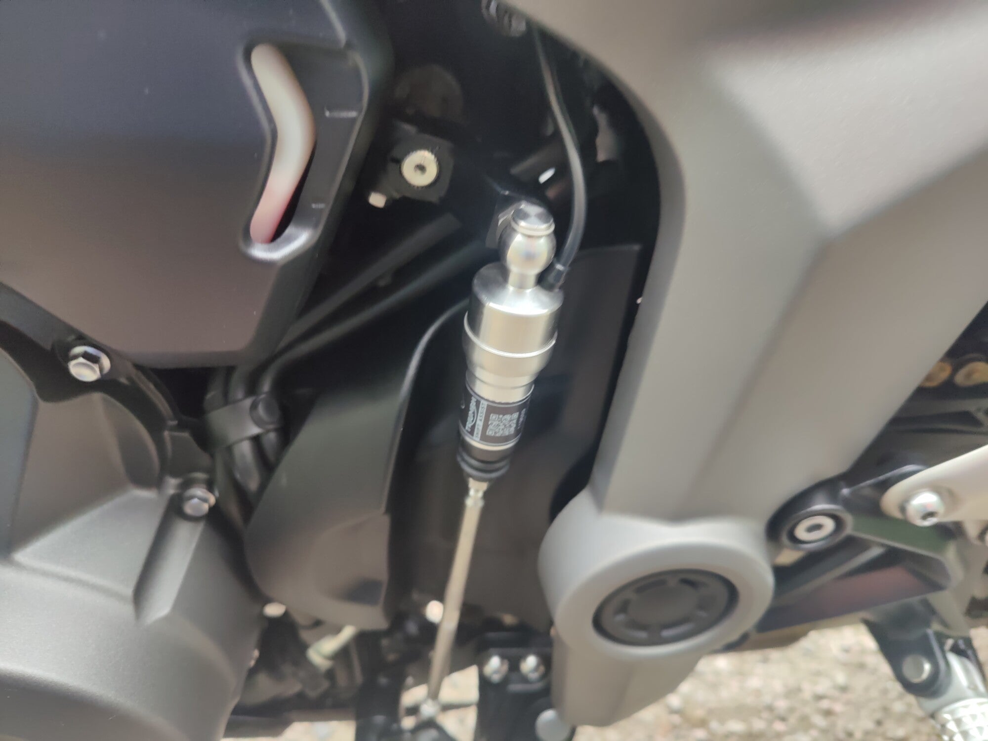 TRIUMPH DAYTONA 660 - 2024 image 21