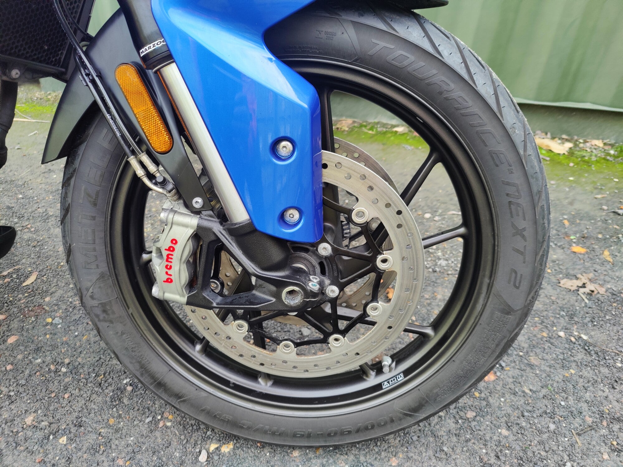 Triumph Tiger GT Pro - 2023