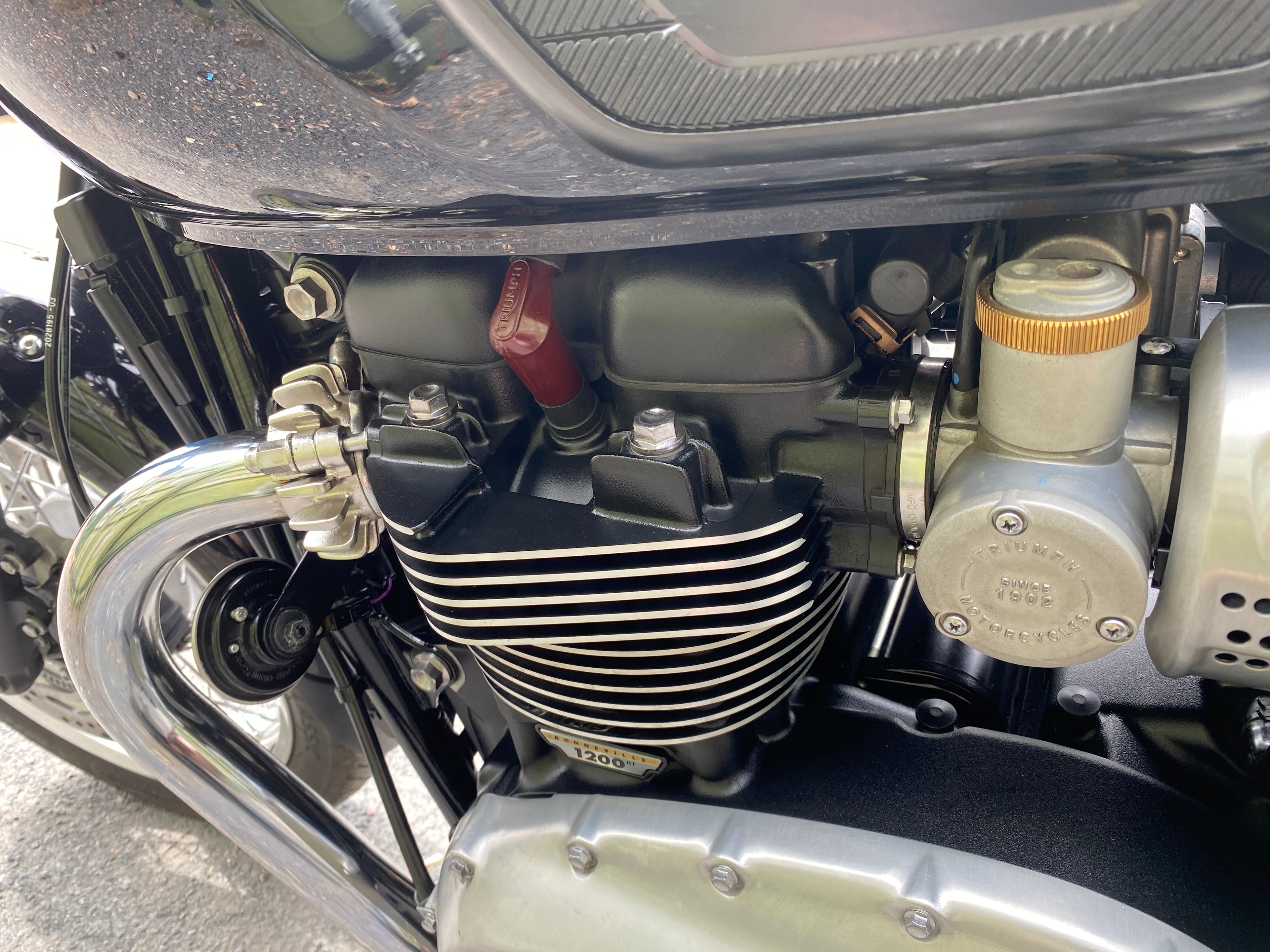 Triumph T120 Bonneville - 2023