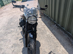 Moto Guzzi V7 Stone - 2024