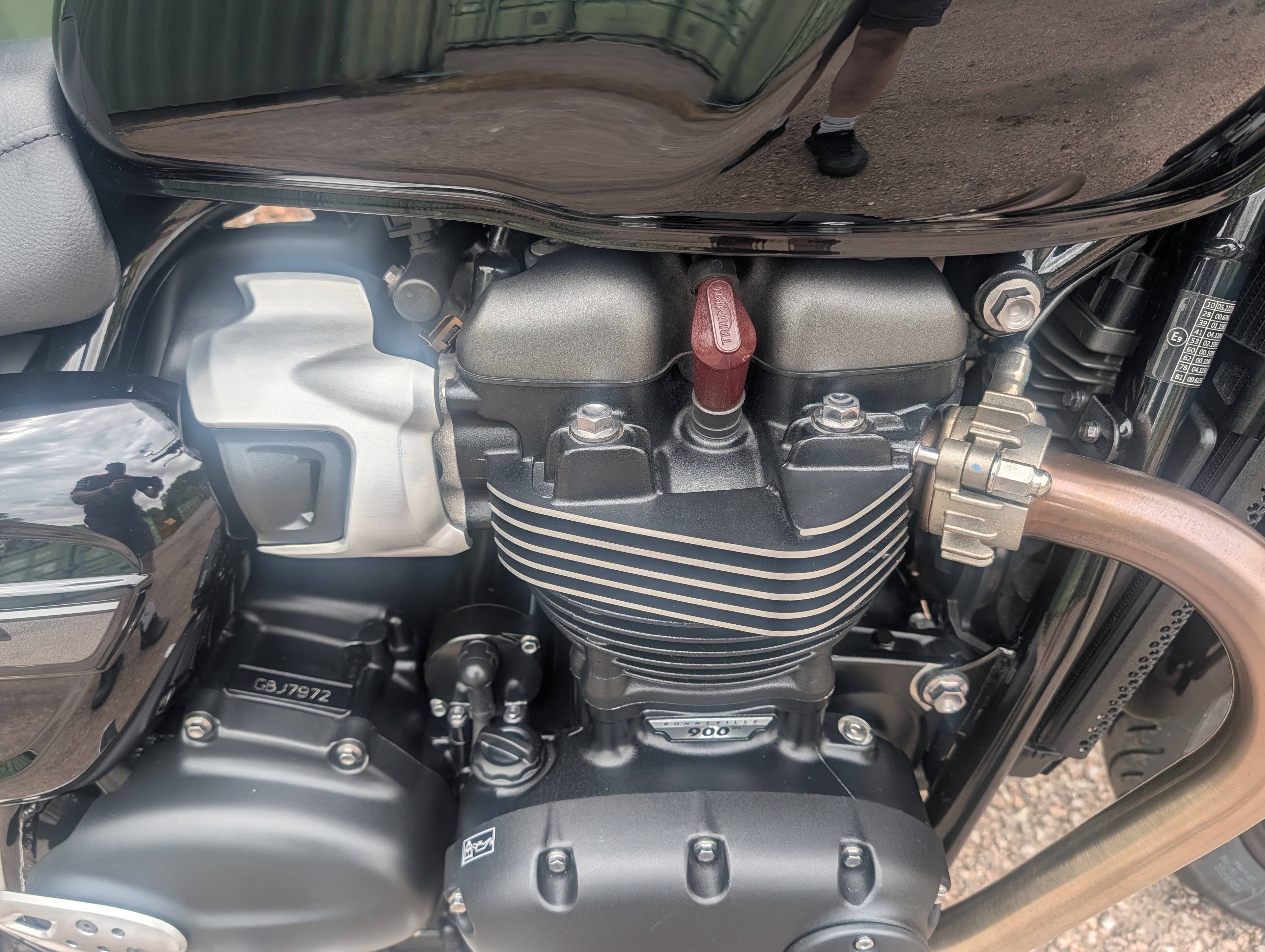Triumph Speed Twin 900 - 2024