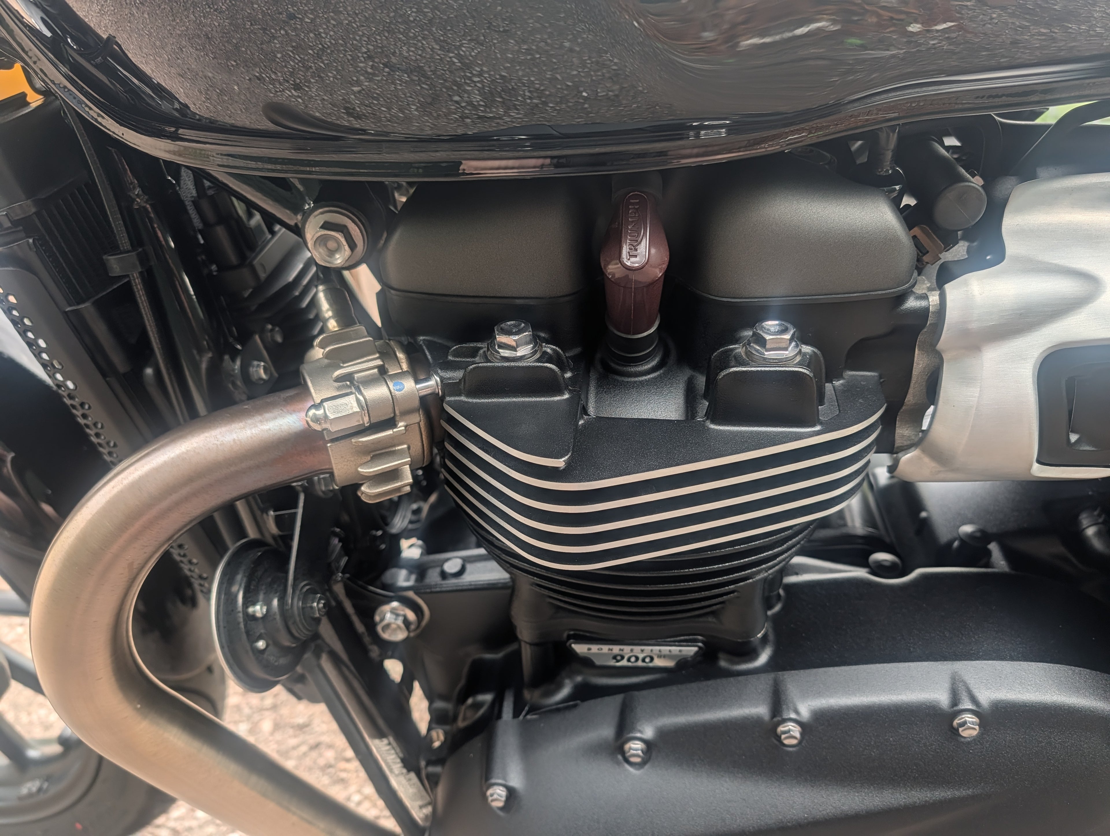 Triumph Speed Twin 900 - 2024