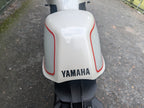 Yamaha XSR 900 - 2024