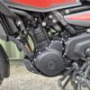 Royal Enfield Himalayan 450 - Image 41