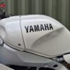 Yamaha XSR900 GP - 2025 - Image 35