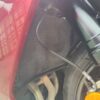 TRIUMPH DAYTONA 660 - 2024 - Image 13