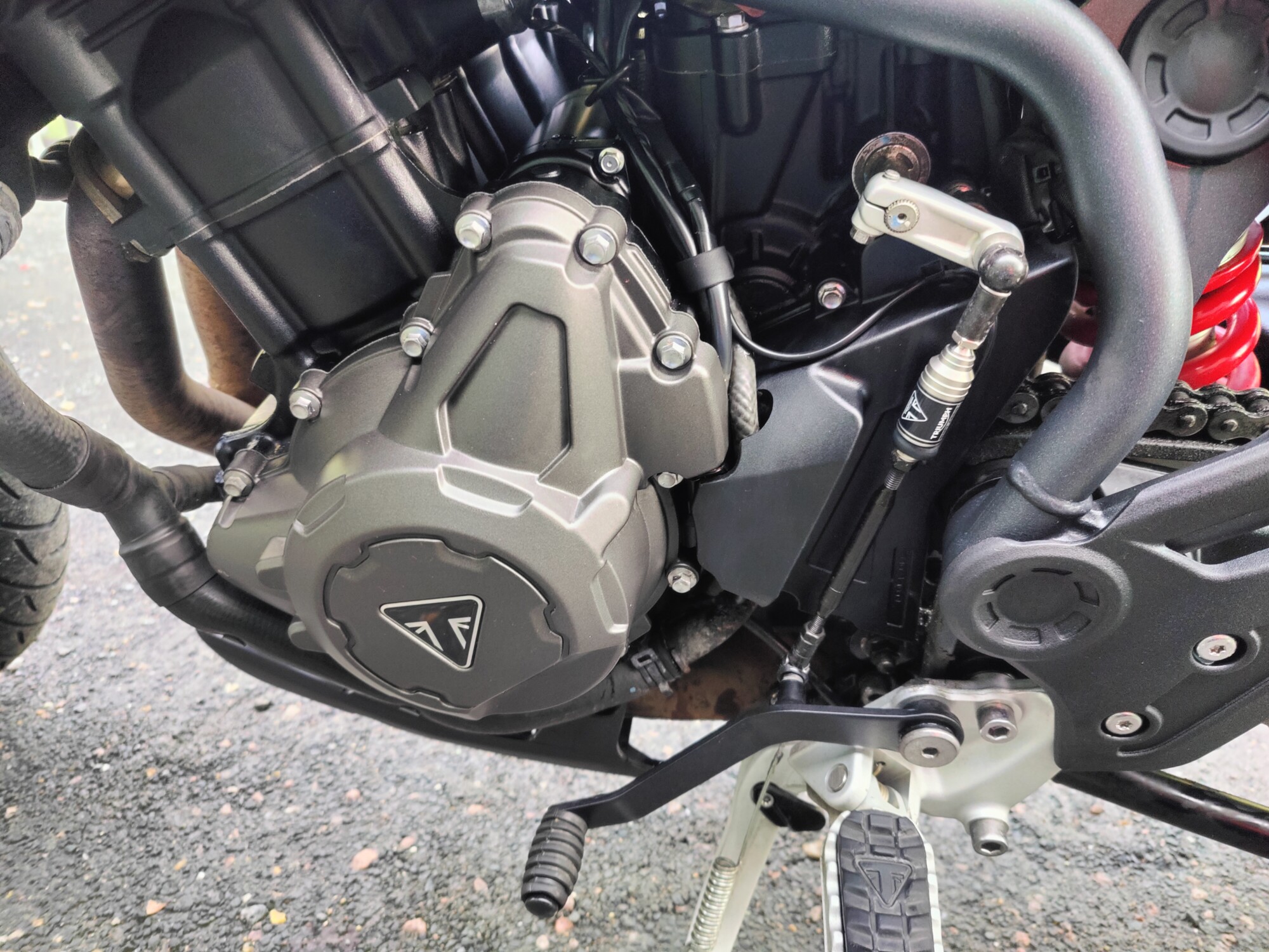 TRIUMPH TIGER 900 GT PRO - 2023 - Image 15